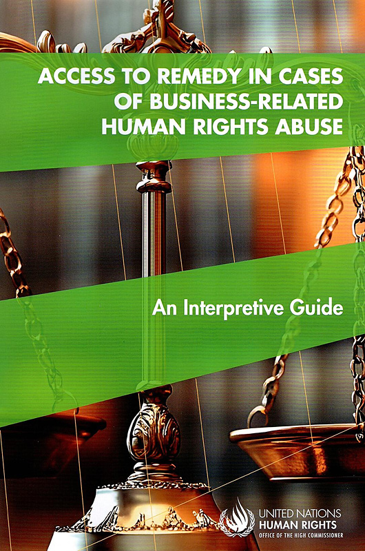  Access to remedy in cases of business-related human rights abuse : an interpretive guide 